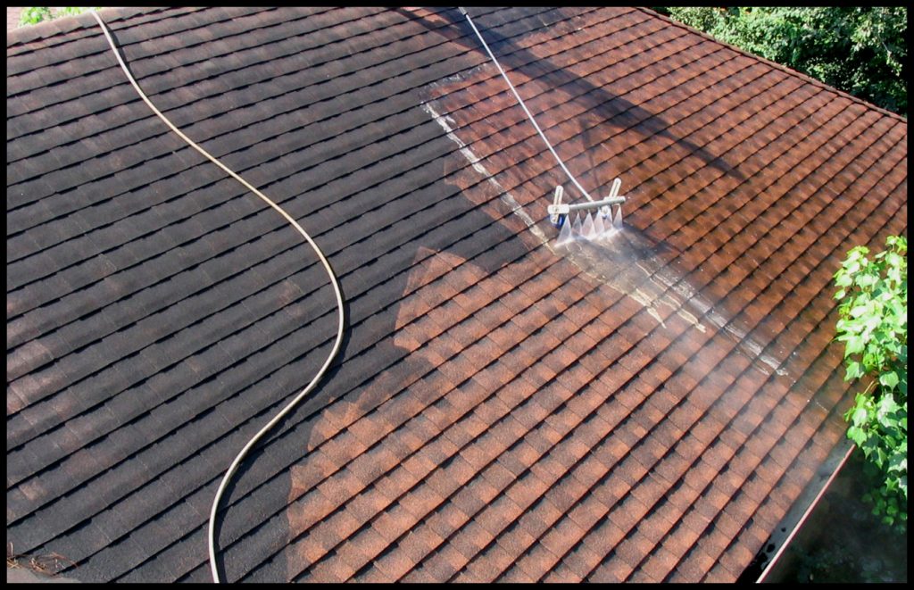 Roof cleaning